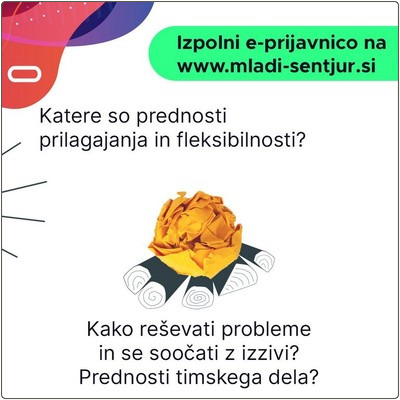 Načrtovanje in organiziranost. Prilagajanje in fleksibilnost. Reševanje problemov in soočanje z izzivi ter timsko delo.