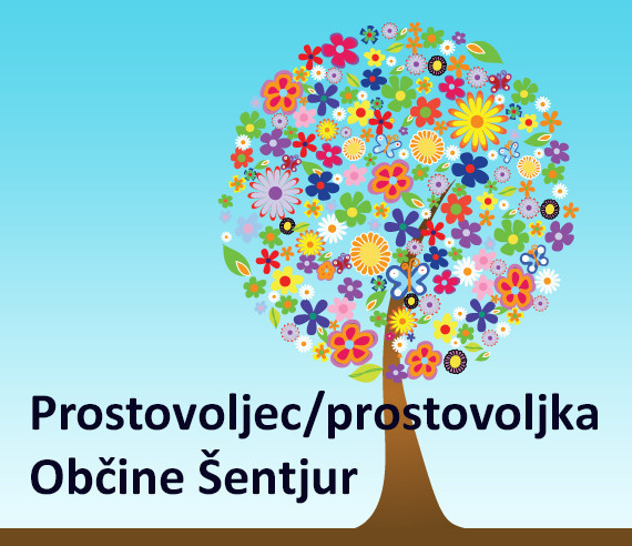 Razpis za izbor prostovoljca / prostovoljke 2024